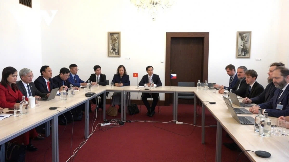 Vietnam and Czech Republic boost digital transformation cooperation